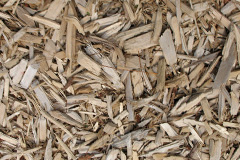 biomass boilers Llanfaredd